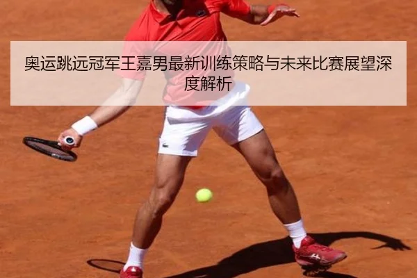 奥运跳远冠军王嘉男最新训练策略与未来比赛展望深度解析（BANDAO SPORTS）
